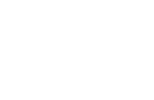 logo_HP_wedge